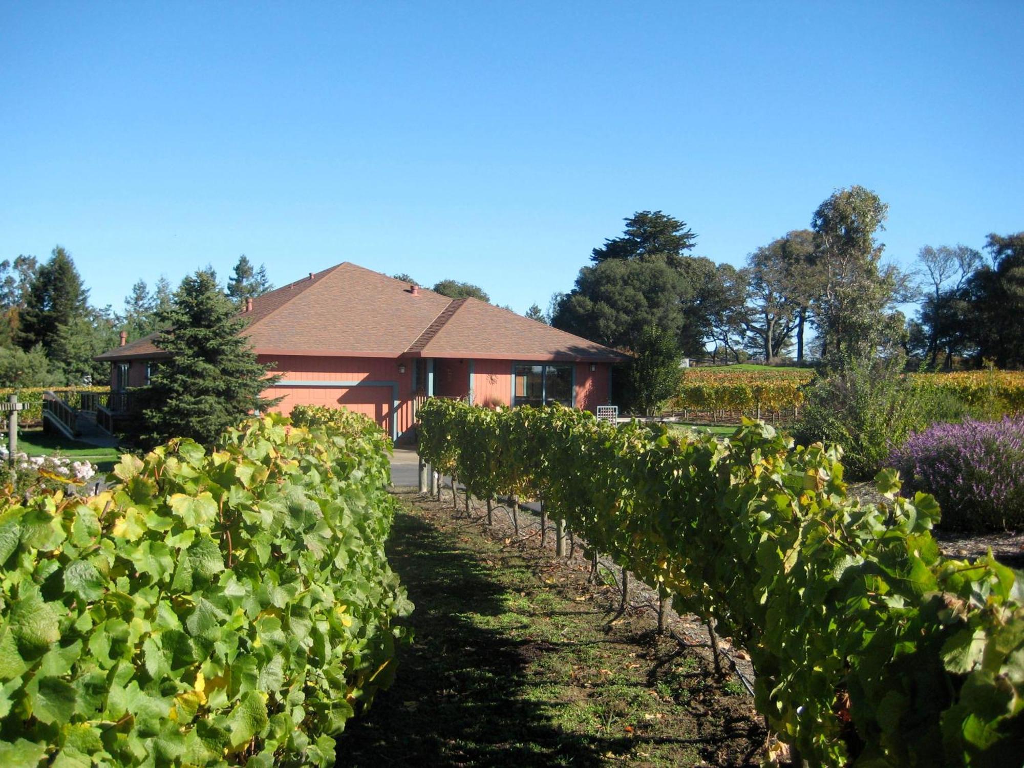 Pearlessence Vineyard Inn Sebastopol Exterior photo